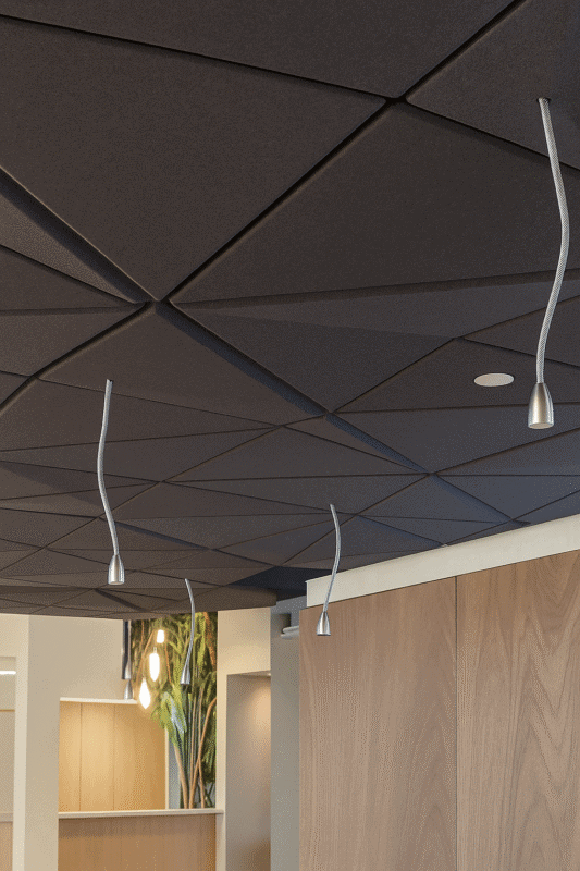 Akustik-3D-Tavan-Paneli-1